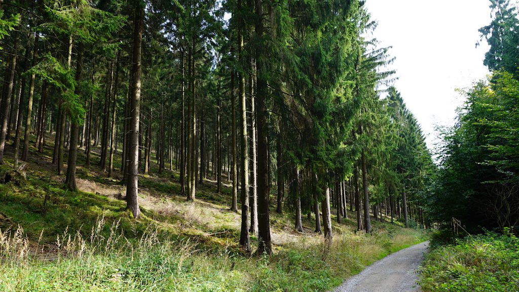 Wandern im Teutoburger Wald