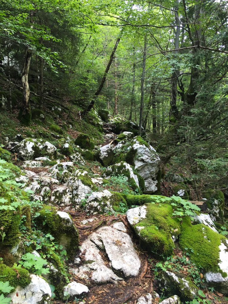 Ganz schön steinig der Soča-Weg