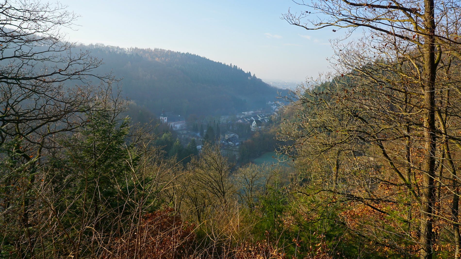 Der Blick von Burg Sayn ins Rheintal - leider diesig