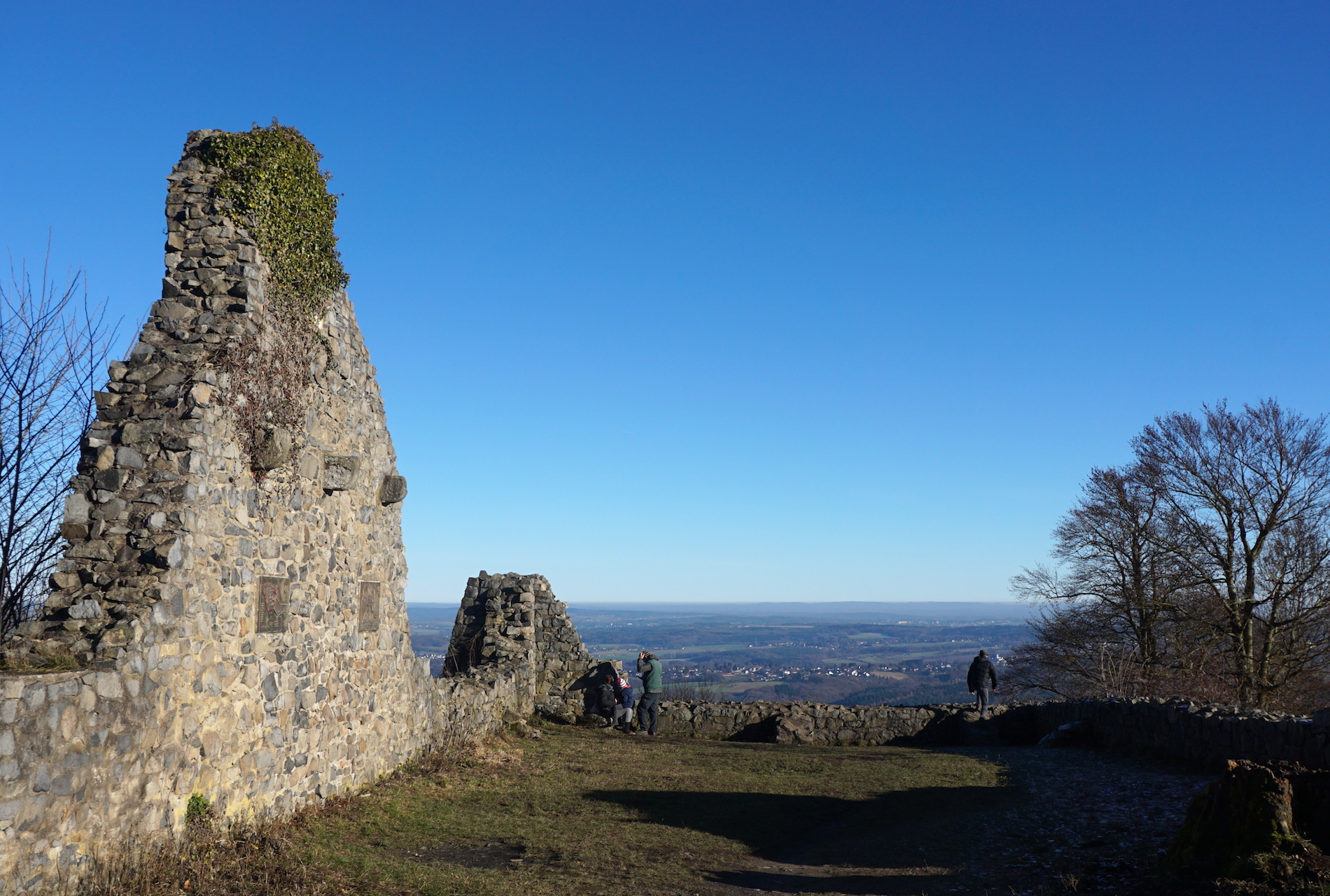 Löwenburg-Ruine Blick Siebengebirge