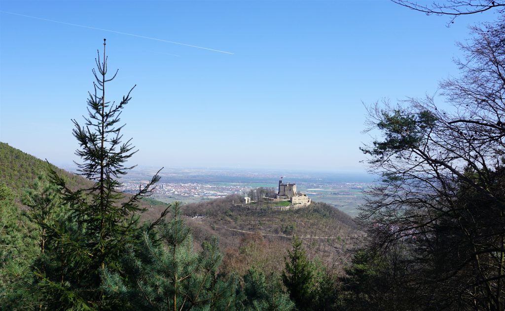 Blick zum Hambacher Schloss vom Pfälzer Weinsteig