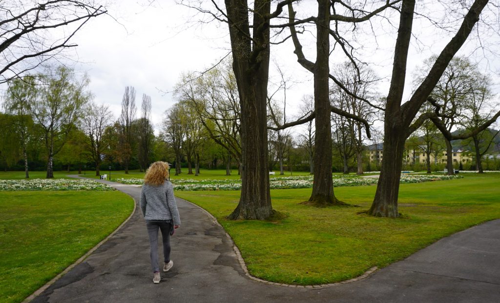 Piet Oudolf Garten im Gräflichen Park