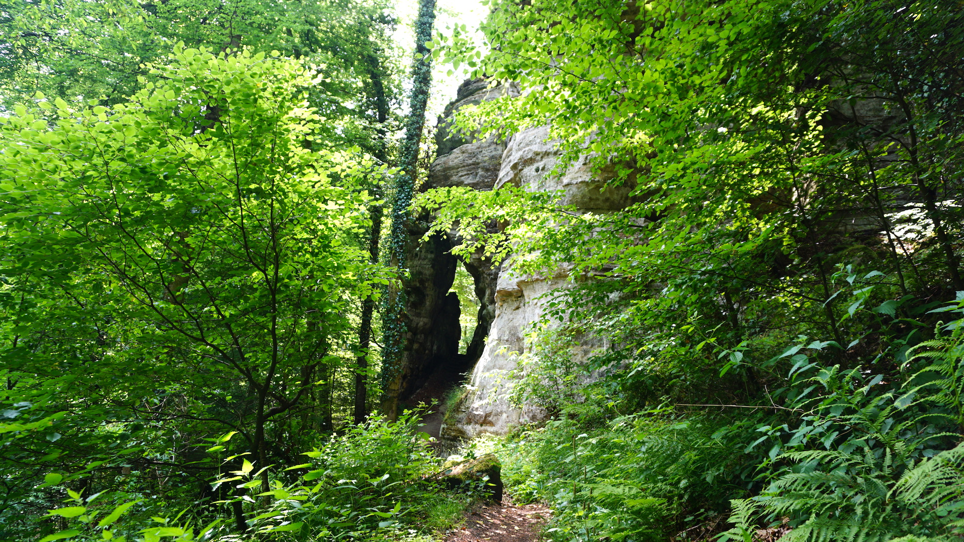 Mullerthal Trail 2 - ein Felsen im Wald