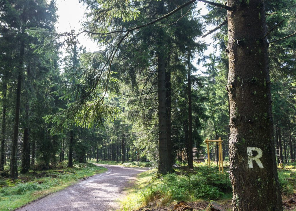 Der Thüringer Wald mit dem R als Markierung für den Rennsteig