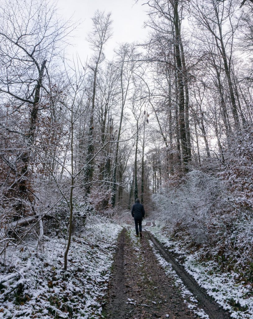 Wandern durch verschneiten Wald