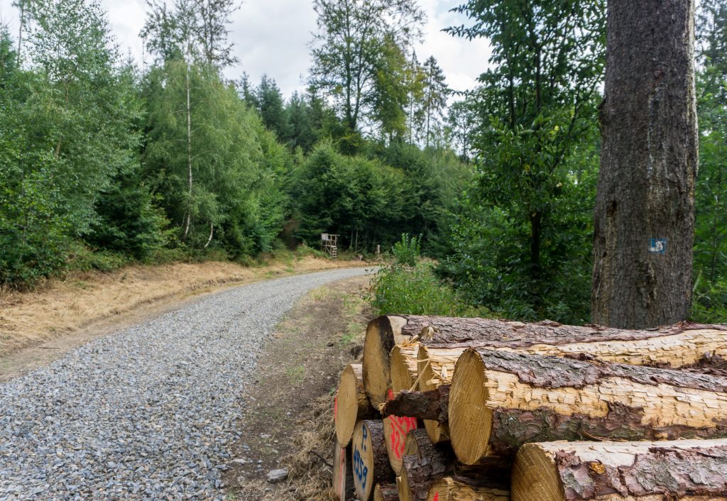 Holzstapel an einem Waldweg