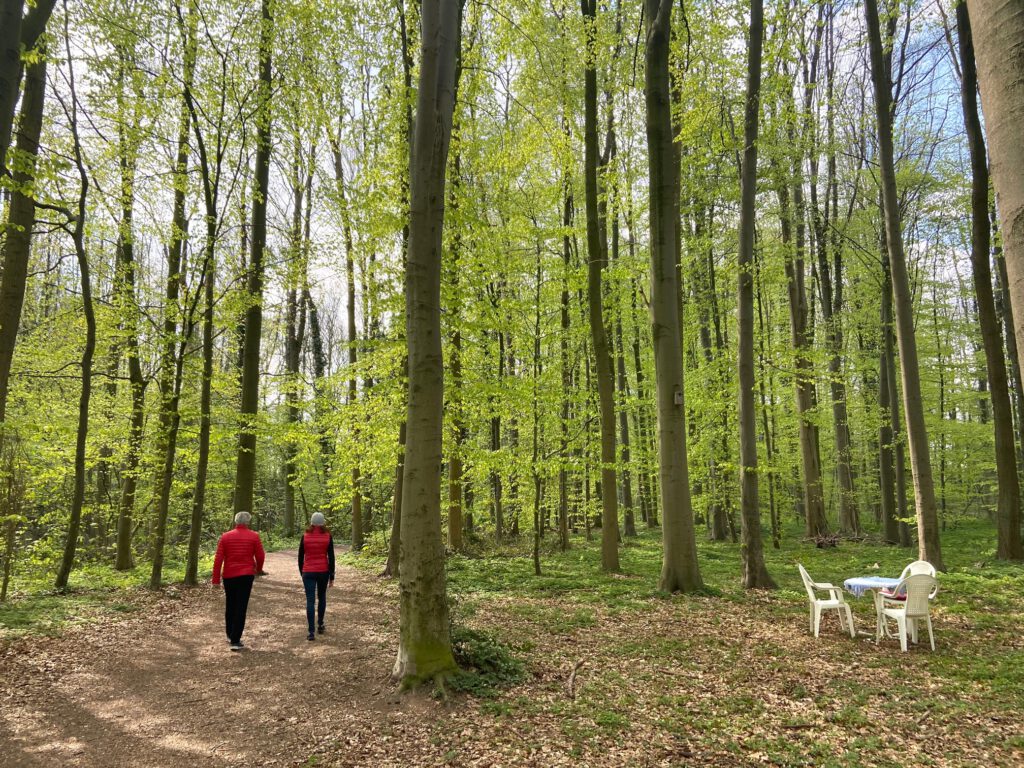 Tische im Wald von Korschenbroich
