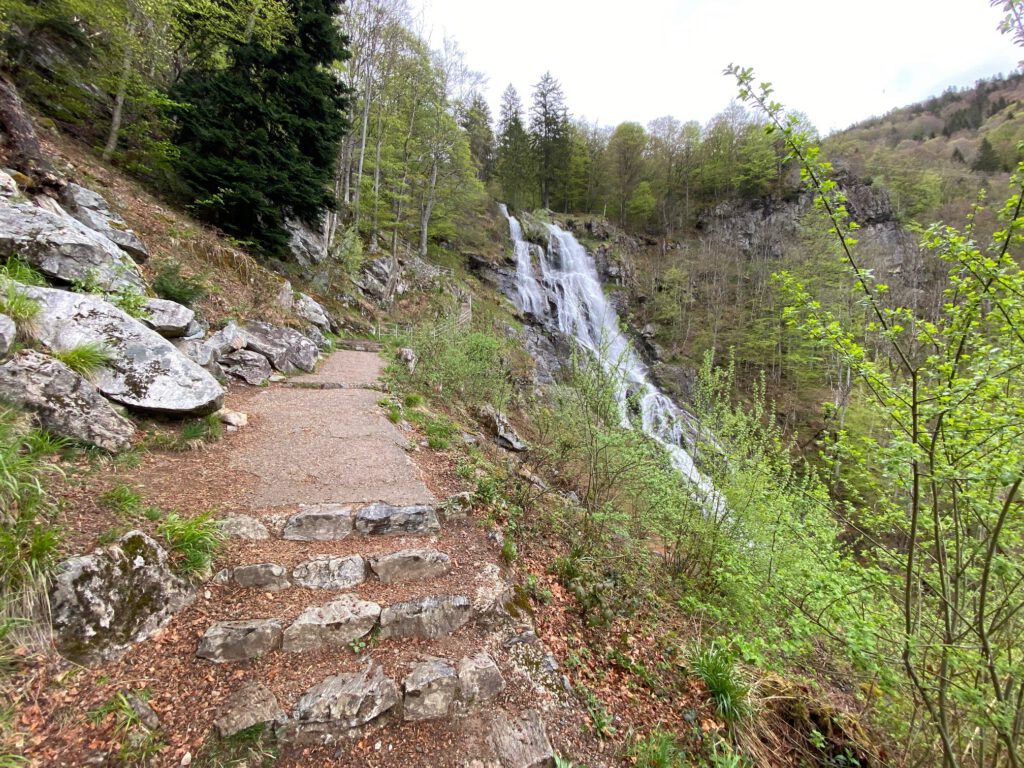 Aufstieg zum Todtnauer Wasserfall