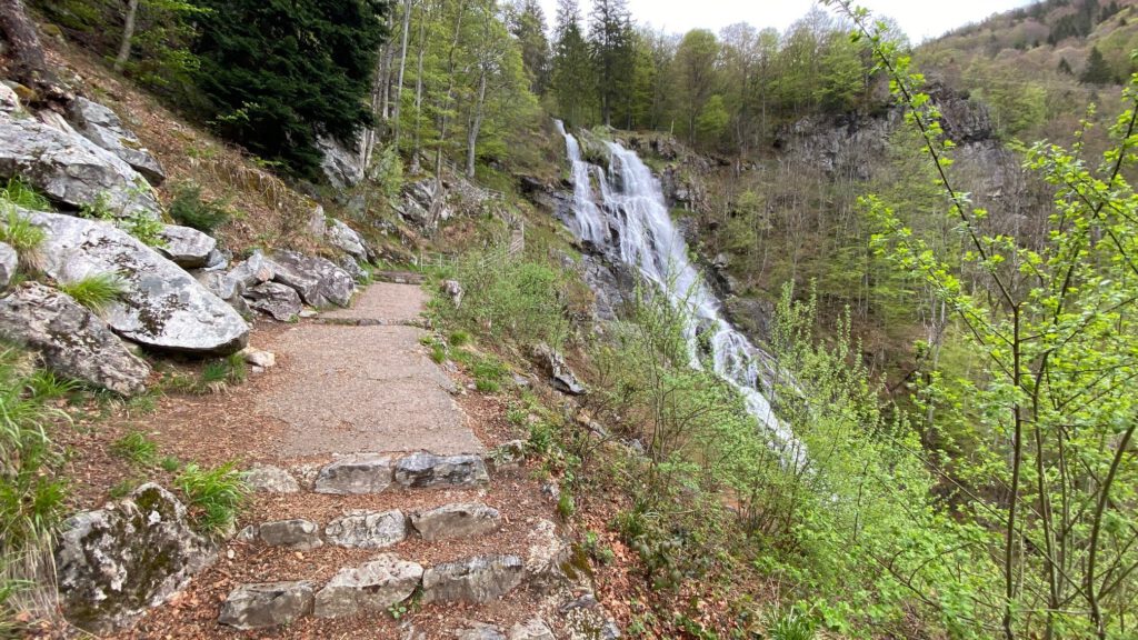 Ausblick vom Todtnauer Wasserfall